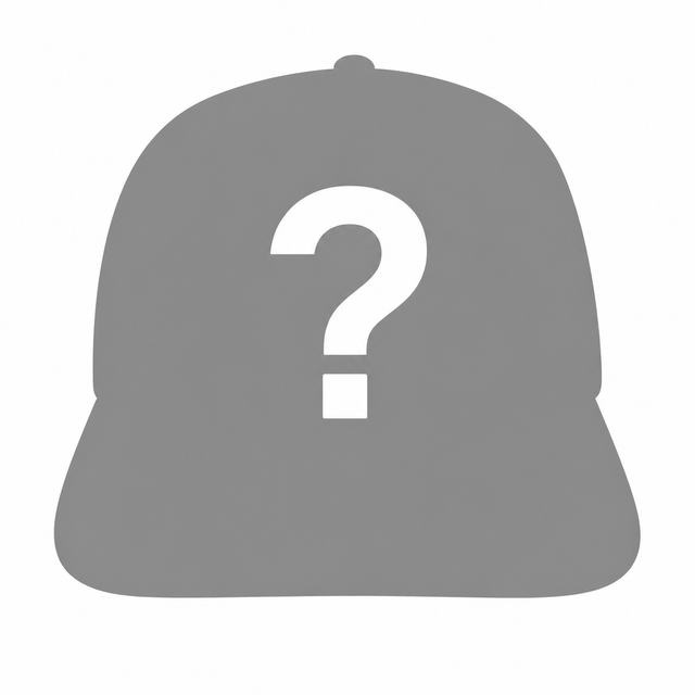 Mystery Dad Hat